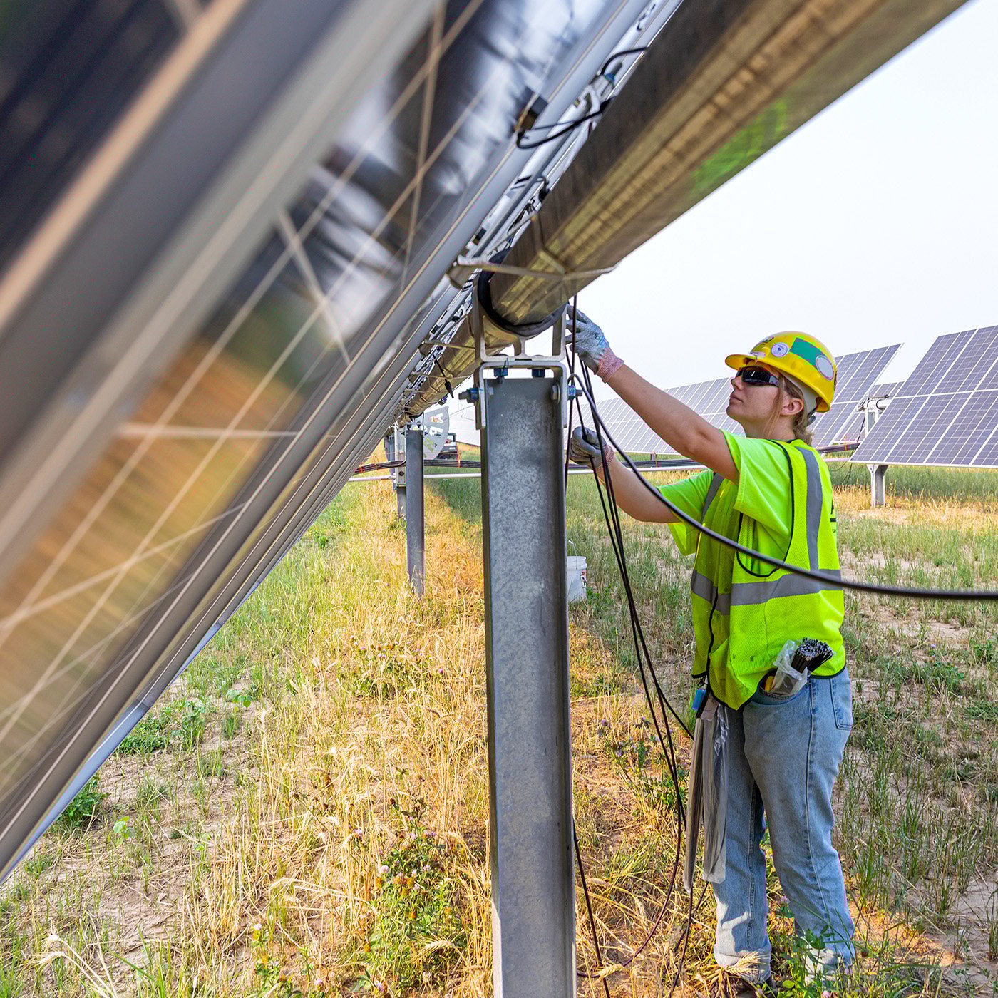 Post Image Post Image